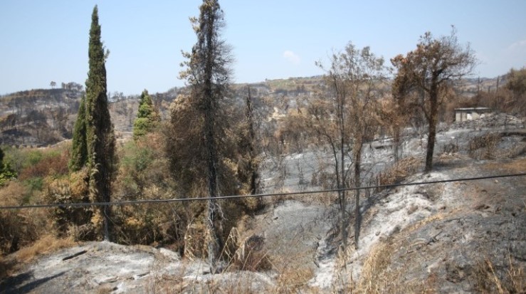 EFFIS: Περισσότερα από ένα εκατ. στρέμματα κάηκαν μέσα σε δύο εβδομάδες