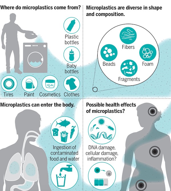 Έρευνα: Σωματίδια μικροπλαστικών εντοπίστηκαν για πρώτη φορά στο ανθρώπινο αίμα