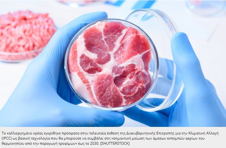 In vitro Meat: Προετοιμασία για έγκρισεις απο την ΕΕ