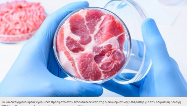 In vitro Meat: Προετοιμασία για έγκρισεις απο την ΕΕ
