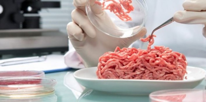 Τεχνητό κρέας και έντομα δίνουν την απάντηση στην κλιματική αλλαγή