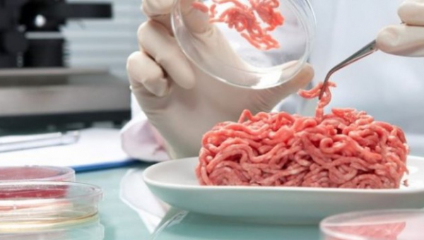 Τεχνητό κρέας και έντομα δίνουν την απάντηση στην κλιματική αλλαγή
