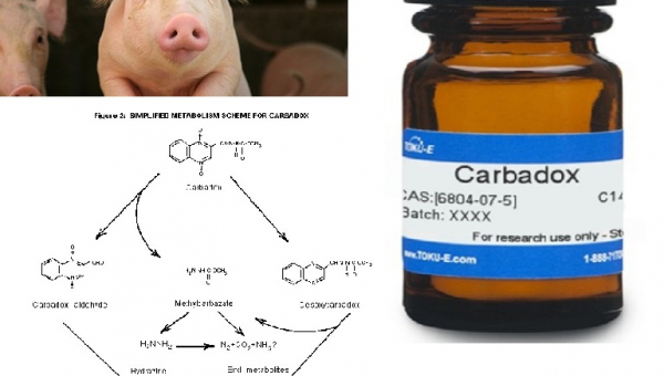 FDA: Το αντιβιοτικό carbadox που χορηγείται στους χοίρους, υπεύθυνο για καρκινογενέσεις στον Άνθρωπο. 