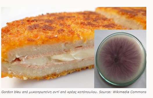 Έντομα, κρέας εργαστηρίου και μικροβιακή πρωτεΐνη οι τροφές του μέλλοντος