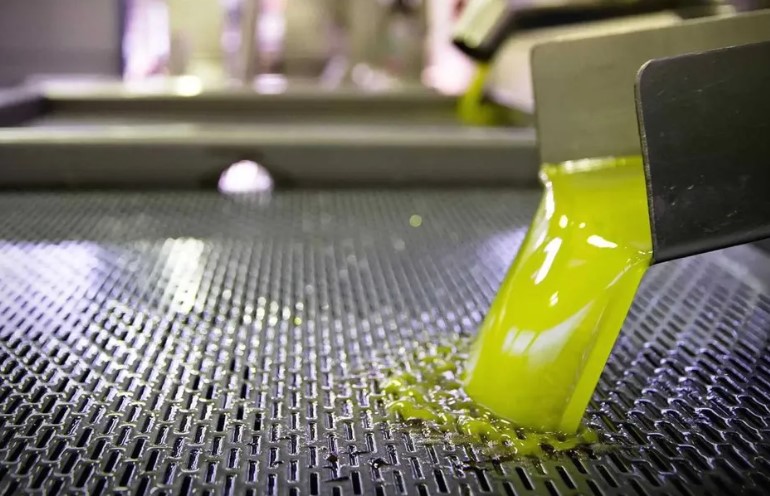 Πελοπόννησος – Σημαντικά αποθέματα Ελαιολάδου και στασιμότητα στην αγορά