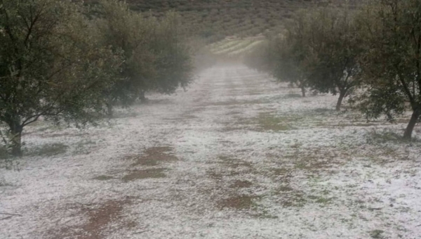 Σε ποιες περιοχές έπεσε χαλάζι σε Κορινθία-Αργολίδα