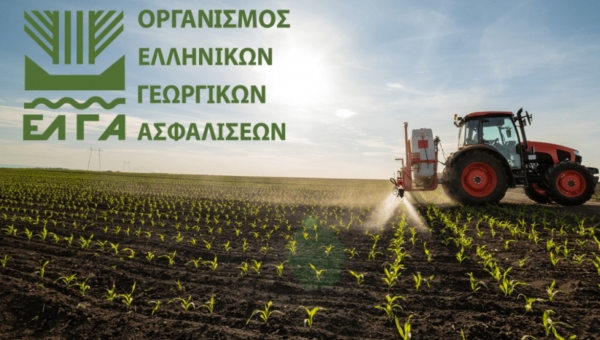 ΕΛΓΑ: Παράταση εισφοράς , Ρυθμίσεις για Εκτιμητές και επιτάχυνση αποζημιώσεων – Τι προβλέπει τροπολογία