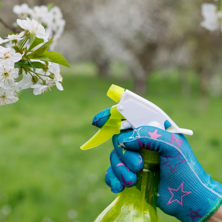 ΦΥΣΙΚΟ ΕΝΤΟΜΟΚΤΟΝΟ ΑΠΟ ΣΚΟΡΔΟ