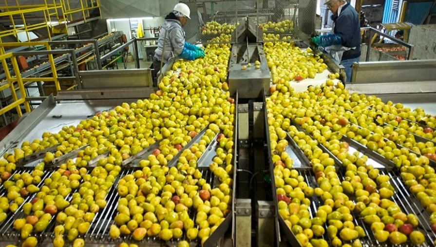 Πιστώνονται 30 εκατ. ευρώ για μεταποίηση, εμπορία ή και ανάπτυξη γεωργικών προϊόντων