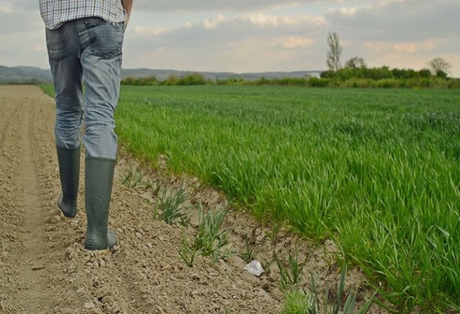 Όλα αλλάζουν: Xωρίς φυσική παρουσία στο χωράφι, οι έλεγχοι εφαρμογής για την ΚΑΠ 2021-2027 !