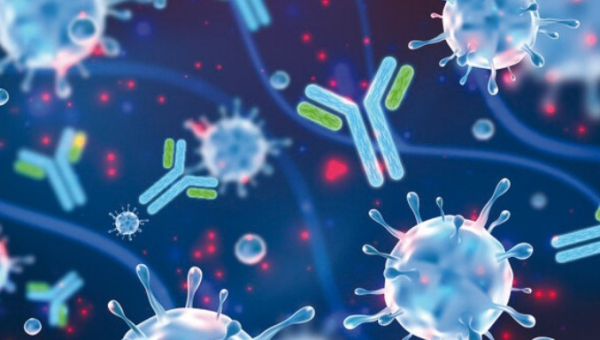 Nature Communications: Για πόσους μήνες τα αντισώματα που εξουδετερώνουν την Covid παραμένουν στο αίμα