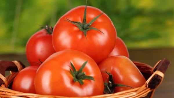 Περιοδικό Nature Plants : Νέα μέθοδος ελέγχου ωρίμανσης τομάτας