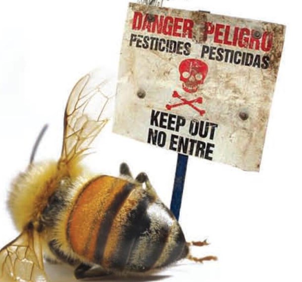 3 Νεονικοτινοειδή της εταιρείας Bayer απαγόρευσε το Ευρωπαϊκό Δικαστήριο