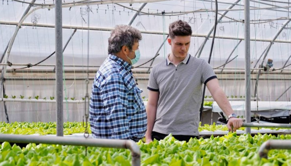 Ψηφιακή αγορά απευθείας από το χωράφι