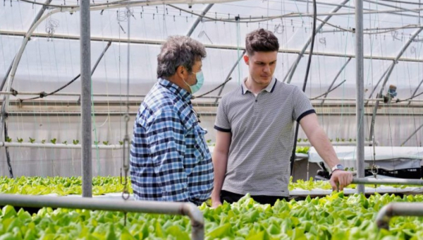 Ψηφιακή αγορά απευθείας από το χωράφι