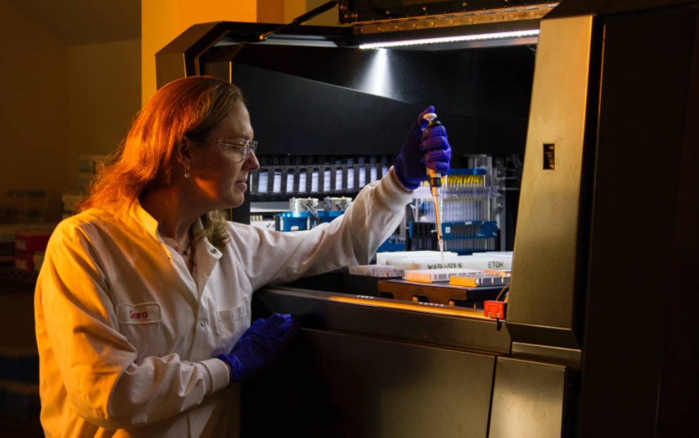 Τι είναι το κρέας εργαστηρίου; γεύση, την παραγωγή και ασφάλεια των τεχνητών τροφίμων