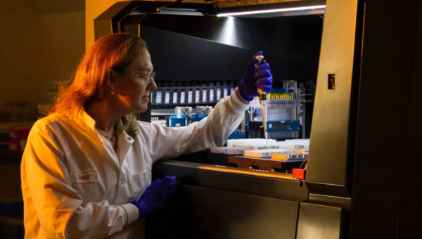 Τι είναι το κρέας εργαστηρίου; γεύση, την παραγωγή και ασφάλεια των τεχνητών τροφίμων