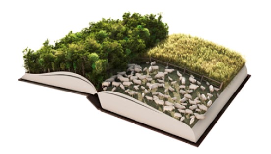 Νέος Όρος: Αγροτικό Σύστημα Γνώσης . Η κατάσταση στην Ελλάδα 