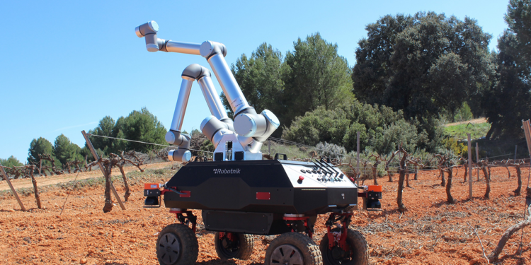 Ρομπότ στον αμπελώνα, τρυγάει καλύτερα από τον άνθρωπο. Αποτέλεσμα ερευνητικού έργου της ΕΕ 
