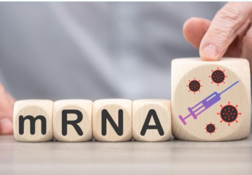 Κορονοϊός: Έλληνες επιστήμονες εξηγούν πώς προκαλείται η μυοκαρδίτιδα μετά τη χορήγηση mRNA εμβολίου