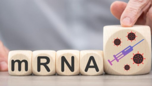 Κορονοϊός: Έλληνες επιστήμονες εξηγούν πώς προκαλείται η μυοκαρδίτιδα μετά τη χορήγηση mRNA εμβολίου