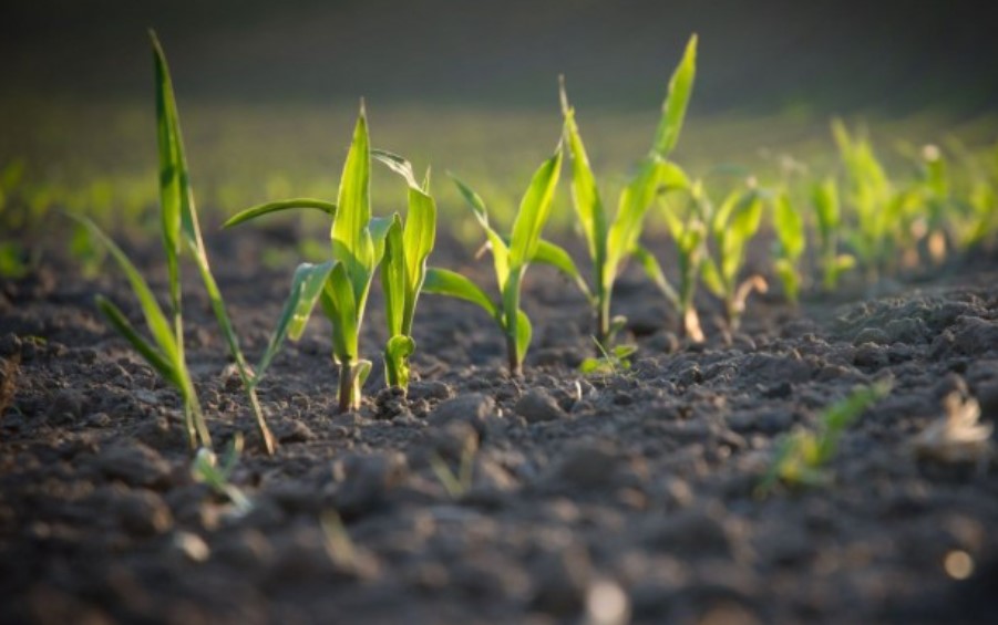 20 προγράμματα ύψους 3,5 δισ. ευρώ για τον πρωτογενή τομέα