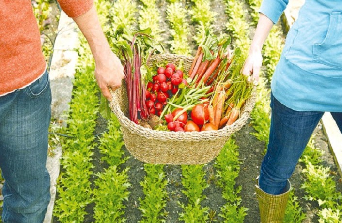 Βιολογική Γεωργία: Ξεκινούν οι αιτήσεις στήριξης – Η διαδικασία υποβολής