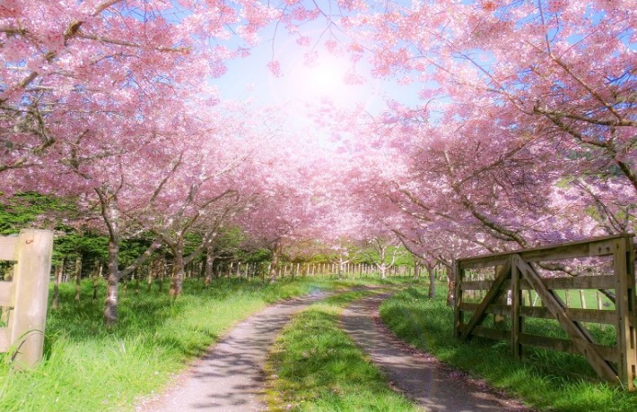 Πράσινος αγροτουρισμός: Τι περιλαμβάνει η Πρόσκληση – Οι δικαιούχοι