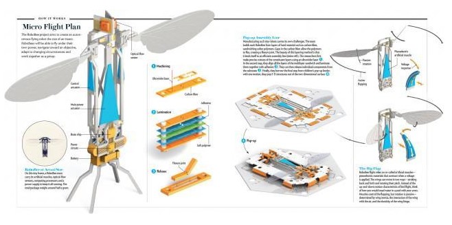 Επιστήμονες του Harvard έφτιαξαν τις μέλισσες ρομπότ 2ης γενιάς – Βίντεο 