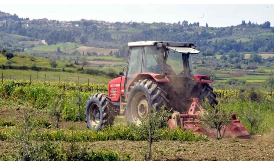 Αναδιάρθρωση καλλιεργειών με δαπάνη έως €4.382 ανά στρέμμα. Λίστα καλλιεργειών 