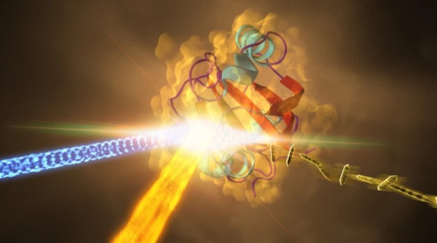 Επιστήμονες βρήκαν το τελευταίο στάδιο της φωτοσύνθεσης που μας διέφευγε