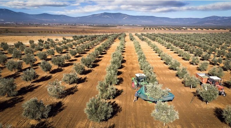 Ξεκινούν οι αιτήσεις για τον «Εκσυγχρονισμό του πρωτογενούς τομέα»