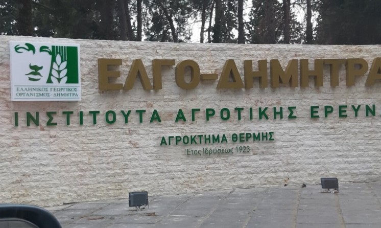 Έναρξη εγγραφών Νέων Μελών στο Μητρώο Εκπαιδευτών του ΕΛΓΟ – ΔΗΜΗΤΡΑ