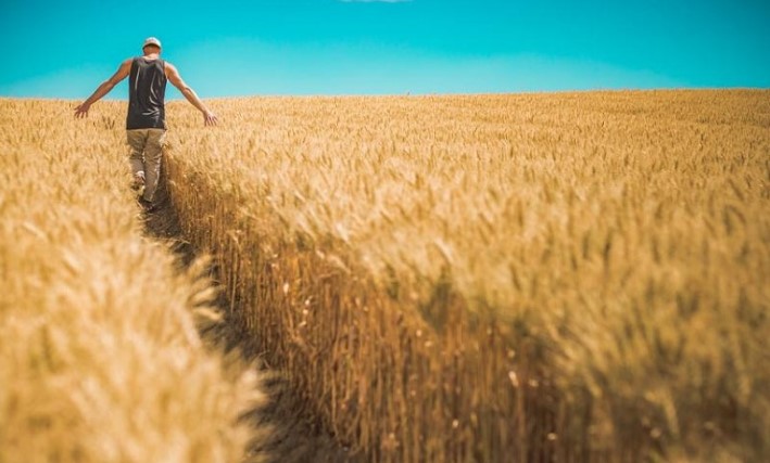 Κριτήρια & Βαθμολογία για το Πρόγραμμα Νέων Αγροτών