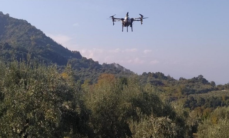 Ανδαλουσία: Δωρεάν εφαρμογή στους παραγωγούς ελιάς για τον κατάλληλο χρόνο συγκομιδής 