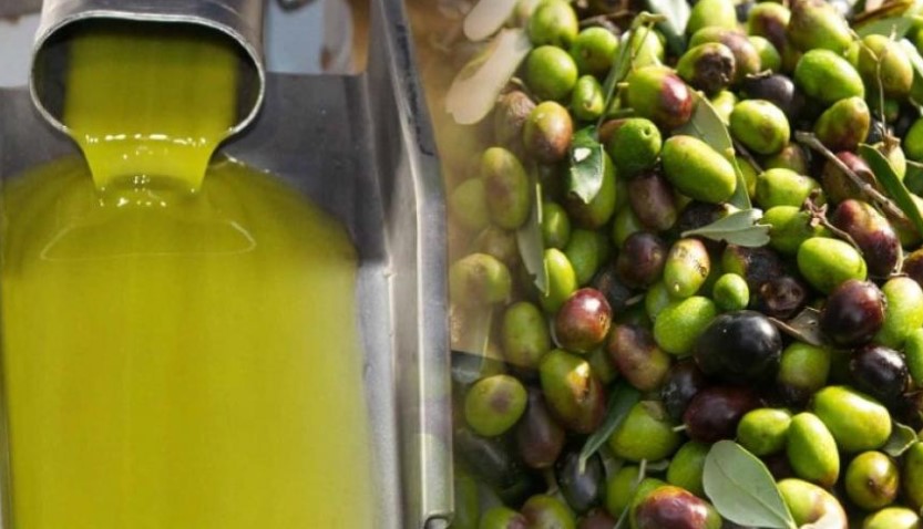 Νέα μέθοδο από Ισπανία για τον Γεωγραφικό προσδιορισμό της προέλευσης του Ελαιολάδου μέσω των σεσκιτερπενίων